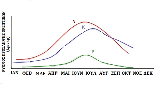 elia grafima 2