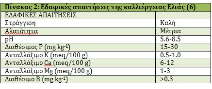 table2
